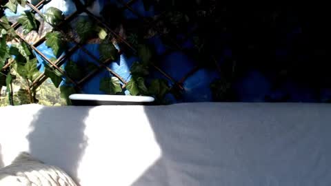 Snapshot of hustle6930 chatting on March 2025 08:38:02 AM Kayla online show from March 2025 08:38:02 AM