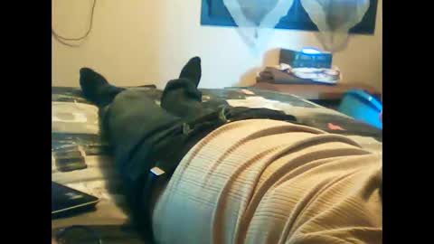 Snapshot of iagreeto chatting on February 2025 01:30:01 PM iagreeto online show from February 2025 01:30:01 PM