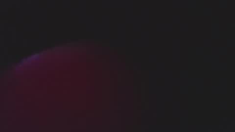  iara smith  online show from February 2026 12:03:01 PM