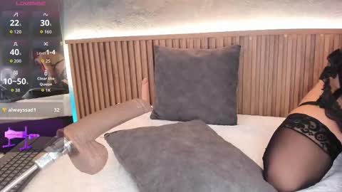 IBBIE online show from February 2026 02:38:02 PM