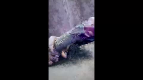 ibhcgvuspcrb online show from March 2026 08:04:01 PM