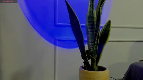 Crystall online show from October 2025 04:41:02 AM