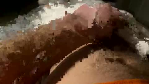 Tornado online show from February 2026 02:49:02 AM