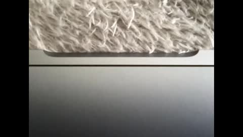 Snapshot of ijaisi chatting on September 2025 01:43:02 PM Morvoys online show from September 2025 01:43:02 PM