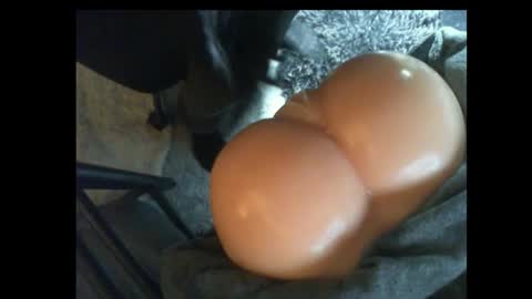 ilikesexyLadys online show from March 2025 11:25:01 PM