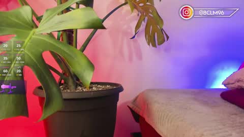 Snapshot of im_bryan chatting on February 2025 05:47:02 AM Bryan online show from February 2025 05:47:02 AM