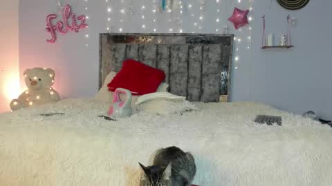 Letty online show from February 2025 05:43:02 AM