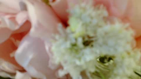 Snapshot of imcarrieberry chatting on March 2025 04:35:01 PM Carrie online show from March 2025 04:35:01 PM