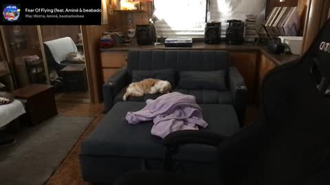 Carter online show from March 2026 05:35:01 AM