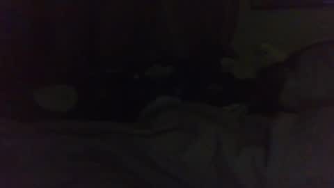 indigo_scorpio online show from February 2025 11:24:02 AM