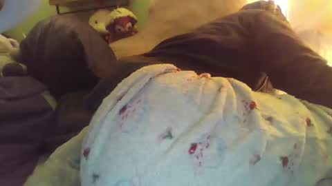 indigo_scorpio online show from November 2025 05:43:01 AM