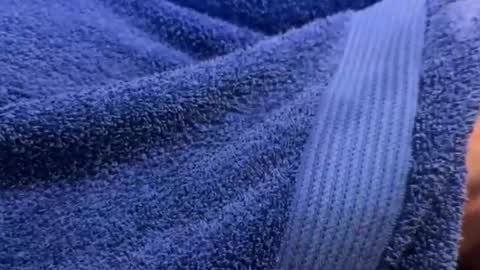 intressiert online show from December 2024 01:25:01 PM