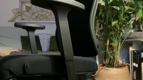 intressiert online show from February 2026 05:31:01 PM