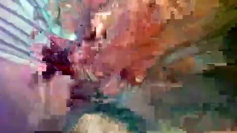 Snapshot of ipuck55 chatting on December 2024 08:18:02 PM ipuck55 online show from December 2024 08:18:02 PM