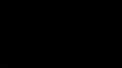 iridisit online show from January 2026 04:07:02 AM