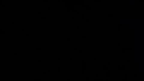 iridisit online show from April 2026 08:41:02 AM