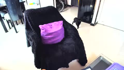 irina online show from February 2025 04:45:02 PM