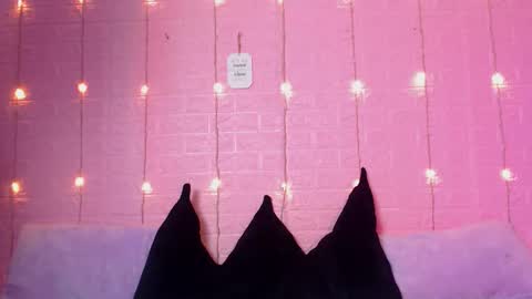 Iirs online show from February 2026 09:37:02 PM