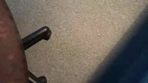 ispm online show from October 2025 12:01:02 PM