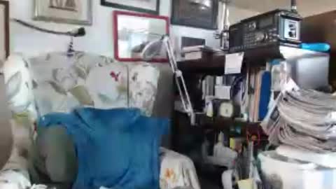 ImYourBitch online show from July 2026 03:23:01 AM