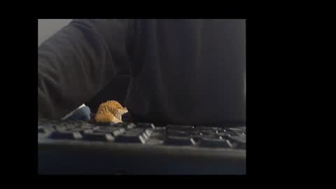 ital25usa online show from January 2026 10:06:01 AM