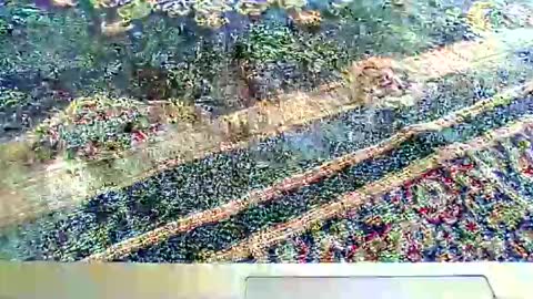 Snapshot of its_me_2323 chatting on October 2025 07:28:02 AM its_me_2323 online show from October 2025 07:28:02 AM