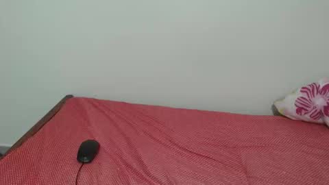 Laynne online show from November 2025 09:53:02 AM