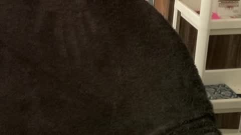 Snapshot of itsmylife021 chatting on October 2025 03:40:01 AM Raje online show from October 2025 03:40:01 AM