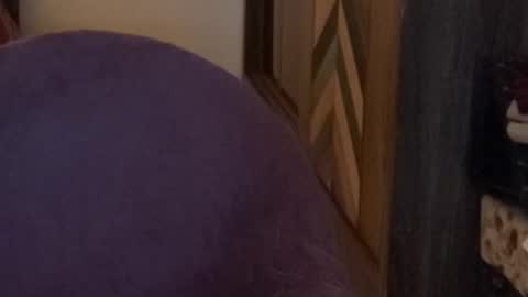 Snapshot of itsmylife021 chatting on November 2025 04:03:01 PM Raje online show from November 2025 04:03:01 PM