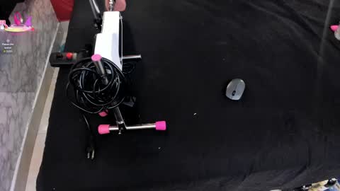 Ivis  online show from April 2026 01:16:02 PM