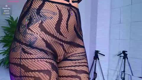 Celine online show from November 2025 06:34:02 AM