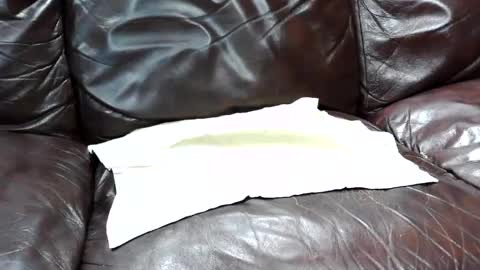 Snapshot of j0junkie chatting on February 2025 07:03:02 PM j0junkie online show from February 2025 07:03:02 PM