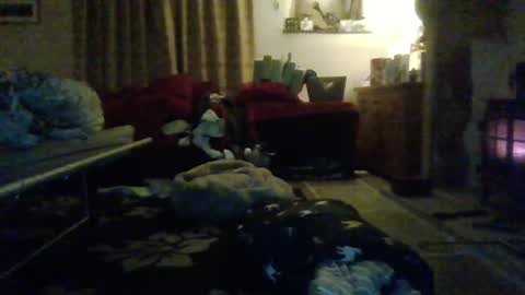 Snapshot of j4ckcock chatting on January 2025 12:43:01 AM J4ckcock online show from January 2025 12:43:01 AM