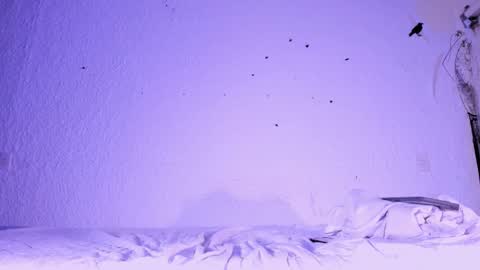 Snapshot of j_martony chatting on November 2025 02:17:02 PM j_martony online show from November 2025 02:17:02 PM