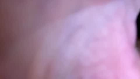 jackjackerman online show from May 2026 06:55:02 AM