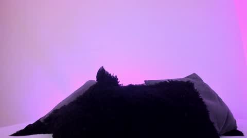 Mady online show from December 2024 01:14:01 AM