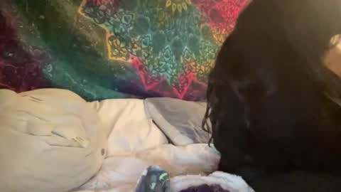 Snapshot of jadexbabe chatting on January 2025 11:54:02 AM Jadexbabe online show from January 2025 11:54:02 AM