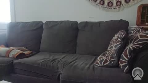 Jake online show from November 2025 06:40:01 PM