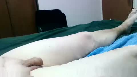 Snapshot of jakscoral chatting on January 2025 09:29:01 PM Jaks online show from January 2025 09:29:01 PM