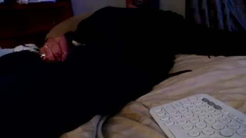 what you in too online show from December 2025 08:19:02 AM