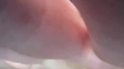 Snapshot of jamesmckendree chatting on December 2024 02:48:02 PM jamesmckendree online show from December 2024 02:48:02 PM