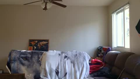 Snapshot of jameswolf777 chatting on September 2025 11:48:02 PM jameswolf777 online show from September 2025 11:48:02 PM