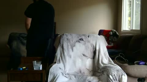 Snapshot of jameswolf777 chatting on September 2025 02:44:01 PM jameswolf777 online show from September 2025 02:44:01 PM