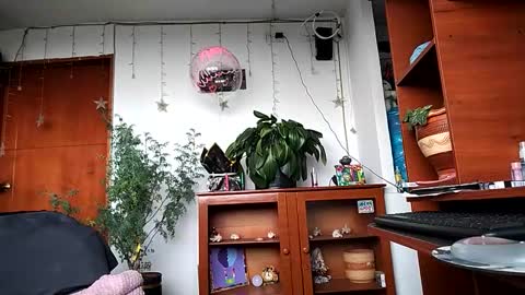 janariivera1 online show from March 2026 04:56:01 PM