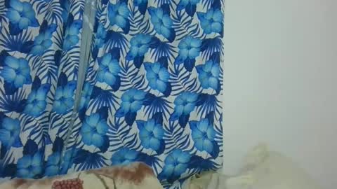 Snapshot of jarevavax chatting on February 2025 09:01:01 PM JarevavaX online show from February 2025 09:01:01 PM