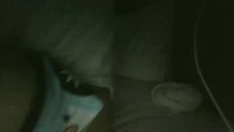 Snapshot of jarrettdainty559 chatting on December 2025 08:31:02 AM jarrettdainty559 online show from December 2025 08:31:02 AM