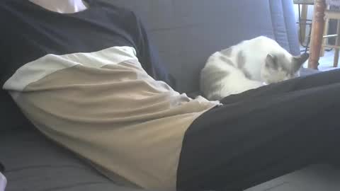 jasper 0 e23cm online show from September 2025 07:43:01 AM