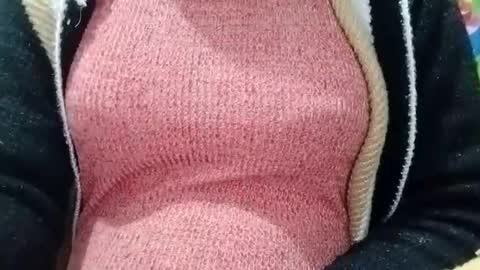 Snapshot of jasspreettt chatting on January 2025 05:48:01 AM jasspreettt online show from January 2025 05:48:01 AM