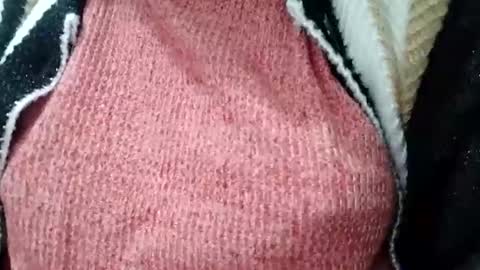 Snapshot of jasspreettt chatting on February 2025 01:55:01 AM jasspreettt online show from February 2025 01:55:01 AM