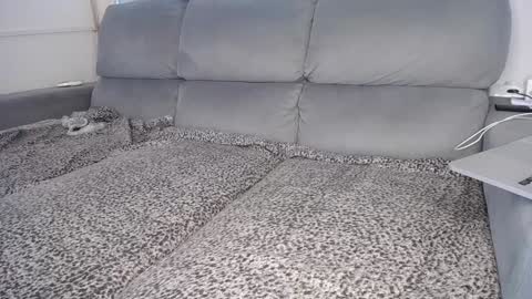 Snapshot of javierandaniel chatting on December 2024 04:01:02 PM Javier online show from December 2024 04:01:02 PM